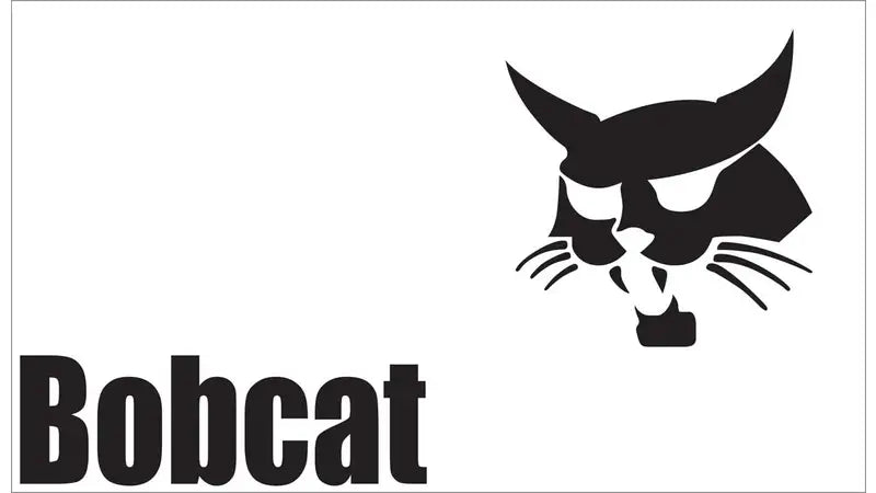 11.5x20 VINTAGE BOBCAT DECAL, 6729267