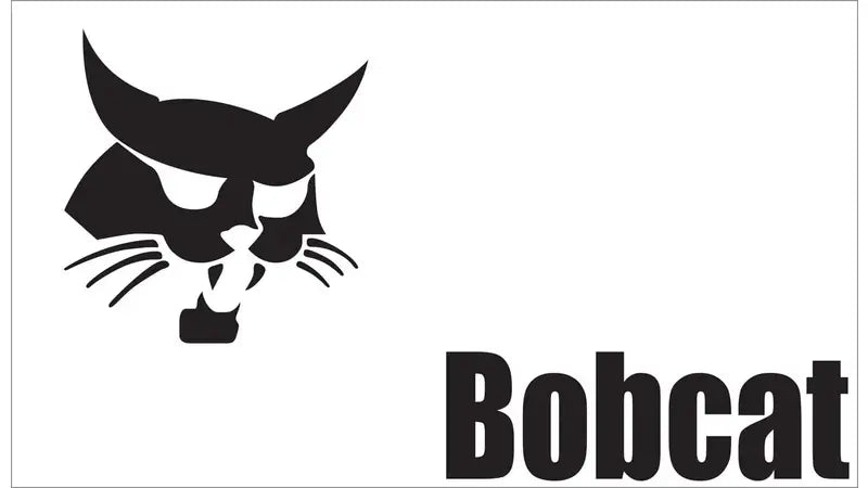 11.5x20 VINTAGE BOBCAT DECAL, 6729268